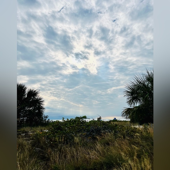 Meet your Posher, Anabel - Picture 5 of 6